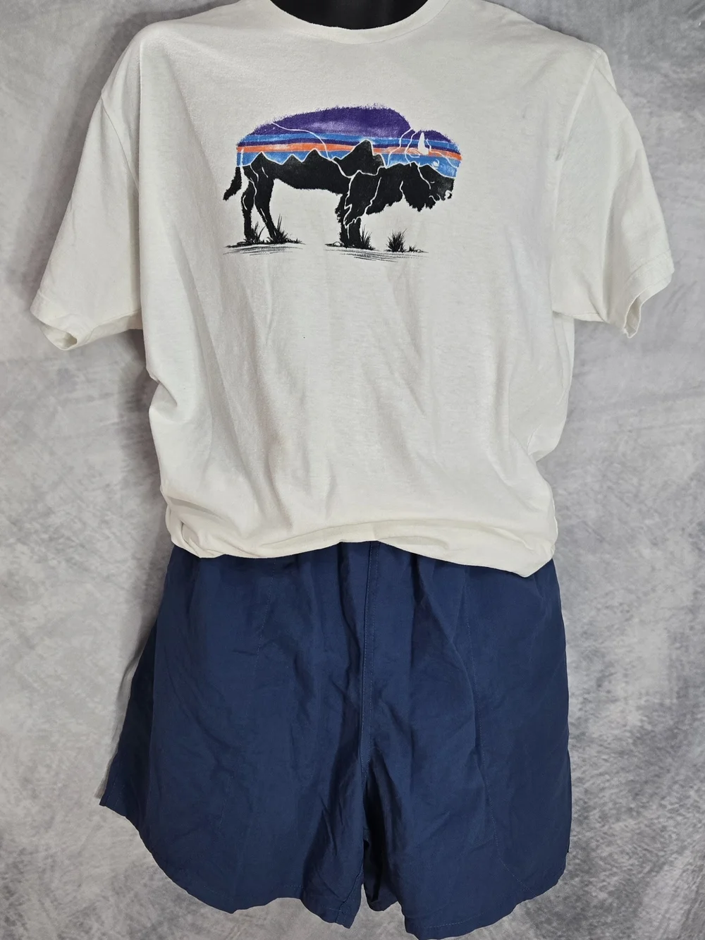 Patagonia classic white